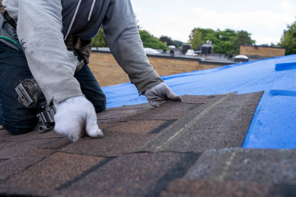Best Shingle Roofing Installation  in Burnham, IL