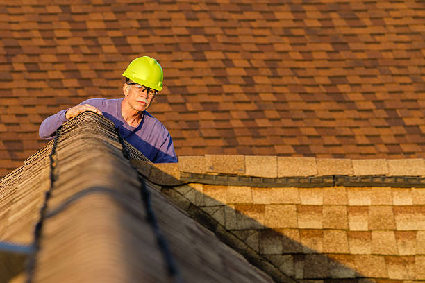 Best Roof Maintenance Services  in Burnham, IL